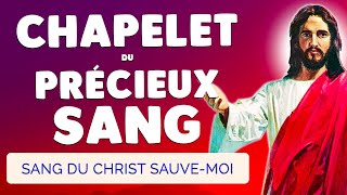 🙏 CHAPELET du PRÉCIEUX SANG 🩸 Sang du Christ SAUVEMOI [upl. by Clarkin383]