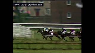 1977 Scottish Grand National Handicap Chase [upl. by Yttak]