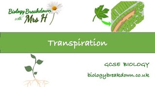 Transpiration [upl. by Aldin]