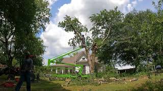 NiftyLift TreeRemoval 062824 [upl. by Lexis]