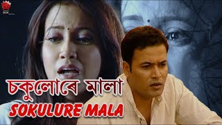 SOKULURE MALA GOTHA  ALOXUWA MON  ASSAMESE VIDEO SONG  ZUBEEN GARG  BARSHA RANI BISHAYA [upl. by Behlau]