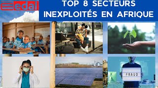 Top 8 secteurs davenir en Afrique [upl. by Adnirak858]