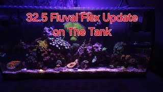 325 Fluval Flex Update [upl. by Everest]