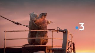 France 3 Marmots Idents 2018 HD [upl. by Negaet690]