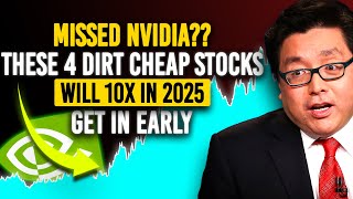 Proven 800 Gain Tom Lees Latest Bold Prediction  These 4 Dirt Cheap Stocks Will Outshine Nvidia [upl. by Aloiv]