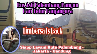 Bangun Dari Tidur Panjangnya ‼️ Kini Po Limbersa Kembali Melayani Rute Palembang  Bandung 😱😱😱 [upl. by Nedi]