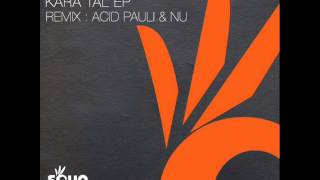 Falling Cows  Kara Tal Acid Pauli amp NU Remix [upl. by Orelie]