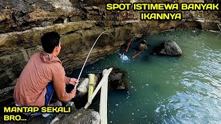 Mantap Mancing Nilem Umpan Lumut Spotnya Luar biasa LM07 [upl. by Flint708]