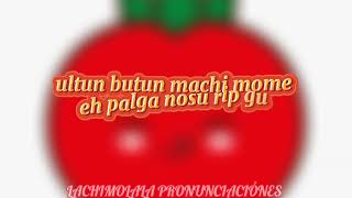 TOMATO SONG PRONUNCIACIÓN FÁCILLETRA FÁCIL [upl. by Asena]