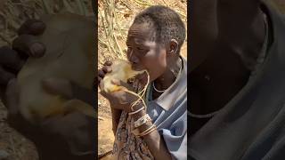 Hadza Wisdom Eating Tuber Roots A Staple of the Wild [upl. by Annol]