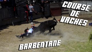 BARBENTANE COURSE DE VACHES 29042017 🐮 [upl. by Swords]