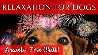 Relaxing Music for Dogs to Calm Down  GREAT FOR FIREWORKS [upl. by Terle]