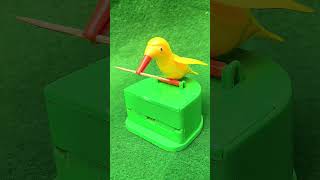 Chunchu Bird 🐦 showing talent  satisfying vedio review funny shorts [upl. by Hsiekal]