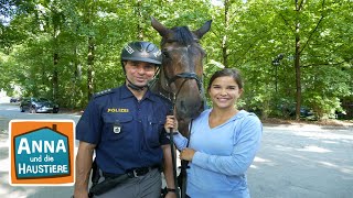 Ein Tag mit Polizeipferden  Information für Kinder  Anna und die Haustiere  Spezial [upl. by Dugan]