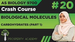 Carbohydrates Part 1  Biological Molecules  9700 AS Biology UrduHindi [upl. by Gannon]