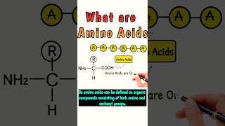 what are Amino Acids aminoacid aminoacids12 proteinstructure chemistry shortvideo shorts [upl. by Arjun]