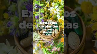 ¿Cómo consummir SUPLEMENTOS ANTIOXIDANTES shorts saludnatural [upl. by Loggia]