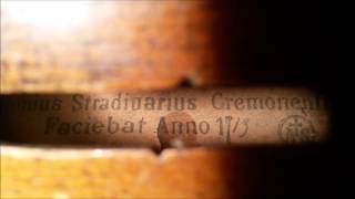 Antonius Stradiuarius Cremonesis Faciebat Anno 1713 Treasure Hunters Croatia [upl. by Palestine]