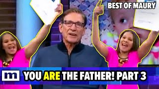 You ARE The Father Compilation  PART 3  Best of Maury [upl. by Weissberg]