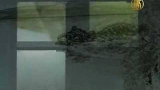 Giant Monster Caught on Film Tape in Sweden Lake [upl. by Billy824]