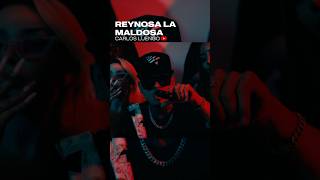 REYNOSA LA MALDOSA 2 🔥🇲🇽🎶 [upl. by Zinn]