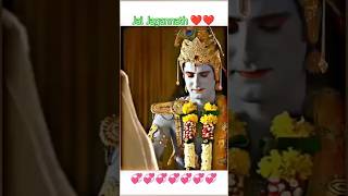 प्रभु की दर्शन मे मिलेगी शांति और मुक्ति ❤️ Jai Jagannath 🙏 shortsfeed reels ytshorts [upl. by Aretina]