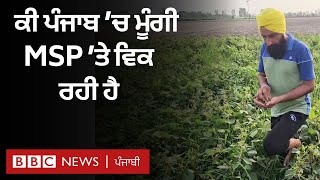 Moong Crop MSP Punjab ਵਿੱਚ ਕਿਸਾਨ ਮੂੰਗੀ ਦੀ ਖੇਤੀ ਕਿਉਂ ਛੱਡ ਰਹੇ ਹਨ  𝐁𝐁𝐂 𝐏𝐔𝐍𝐉𝐀𝐁𝐈 [upl. by Gilba]