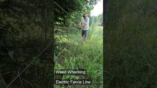 Working on the farm  Weed Whacking the electric fence line [upl. by Mehsah]