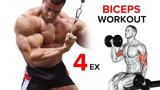 Best Biceps Exercises  Short Head  Long Head  Brachialis [upl. by Thomasine256]