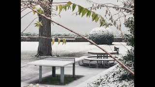 Snowing in Thalwil Switzerland on November 30 2023 [upl. by Ysabel278]