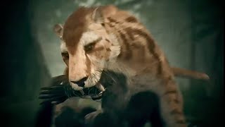 ANCESTORS  HOMINID HUNTED AND MAULED BY MACHAIRODUS BIG CAT [upl. by Hakym]