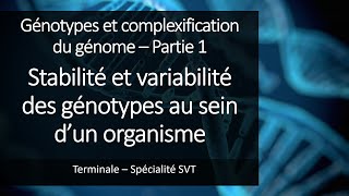 Cours Spé SVT Terminale  Stabilité et variabilité des génotypes [upl. by Bernardi]