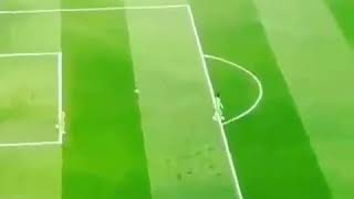 Kinsey Wolanski Champions League Final Pitch Invasion gooool [upl. by Yztim284]