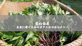 生薬原料の枠を超えて変幻自在に活用 大和の新・ボタニカルカルチャーが面白い [upl. by Neelahs719]