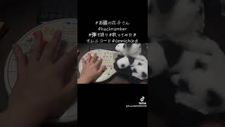 高嶺の花子さんbacknumber弾き語り 歌ってみた オムニコード omnichord [upl. by Okramed]