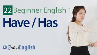 English Grammar Have  Has [upl. by Jan82]