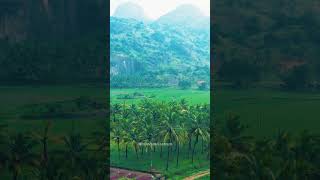 oru rathri koodi vidavangave💖evergreen song 💖💖coversong 💖 [upl. by Ardnuek]