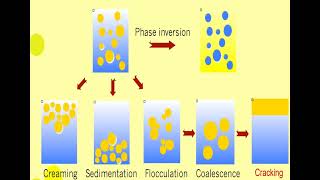 Lec 11 EMULSIONS Physical Stability شرح بالعربي [upl. by Latimore288]