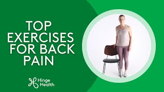 Top 5 Back Pain Relief Exercises [upl. by Knut]