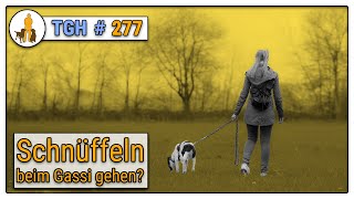 Schnüffeln an der Leine  Dürfen Hunde im Fuß Kommando oder an der Leine schnuffeln  TGH 277 [upl. by Nrubliw]