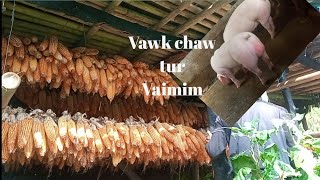 34mf small Piggery ne🇮🇳Vawkchaw vaimim tlêm a zâwng kan thar ve e [upl. by Artenek]