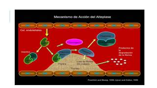 Anticoagulantes y Trombolíticos mecanismo de acción [upl. by Reywas]