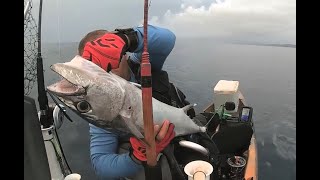 Guam Kayak Fishing  Dogtooth Tuna and Uku fish Jigging the ocean [upl. by Eenoj961]