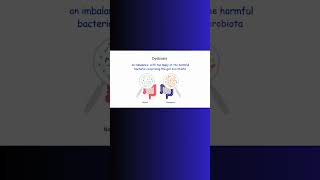 DYSBIOSIS GUT BACTERIA MICROBIOME guthealth bacteria dysbiosis microbiology physiology [upl. by Signe]