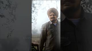 smw moosewala shortvideo viral viralvideo sidhumoosewala sidhu short shorts [upl. by O'Shee]