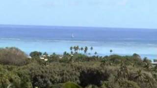 Moorea French Polynesia Tropical Island Scenery [upl. by Bryant]