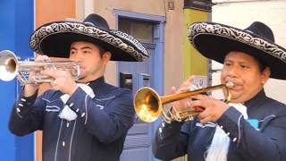 Barcelonnette  Fêtes Latino Mexicaines 2019 [upl. by Gnoht446]