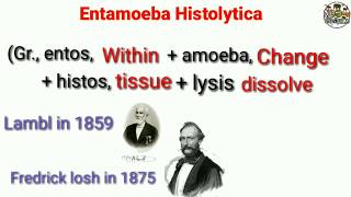 Entamoeba histolytica  Morphology Life Cycle Classification NOTES [upl. by Enerahs]