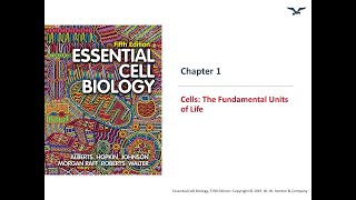 All about Cells The fundamentals units of life [upl. by Aicargatla284]