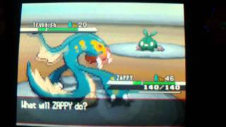 How to get EXP Share in Pokemon Black and White [upl. by Friedly]